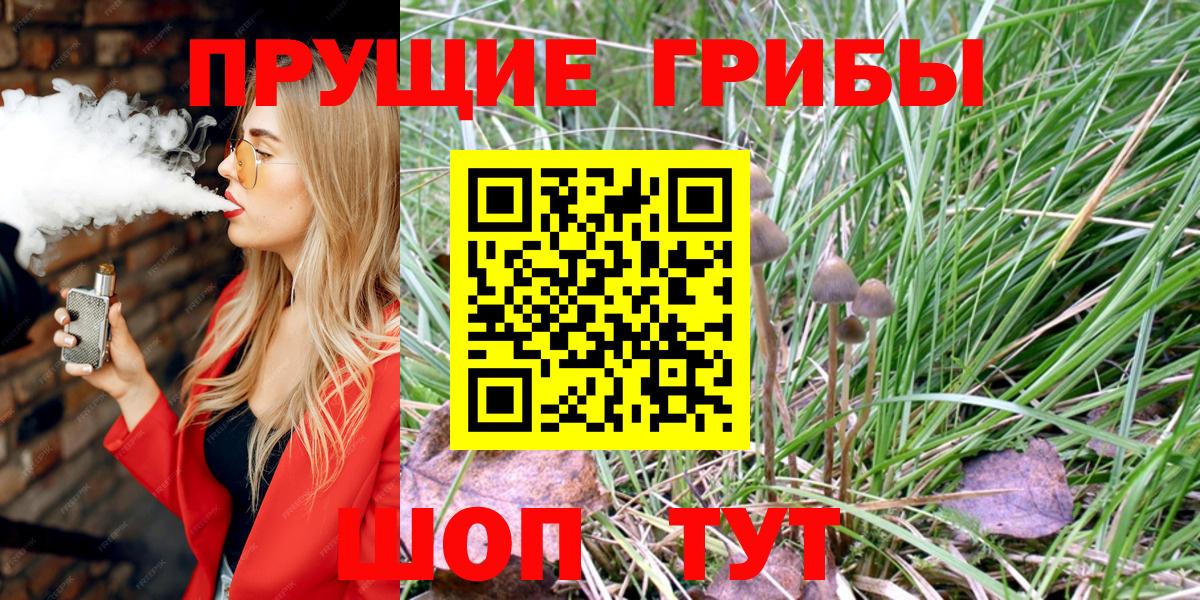 Галлюциногенные грибы ЛСД Гусиноозёрск